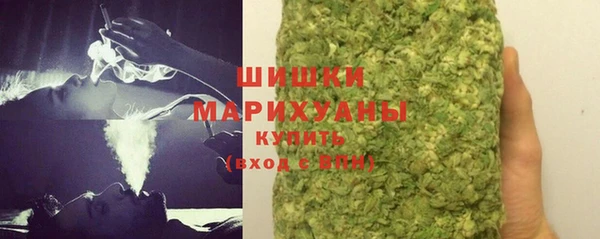 сатива Мегион