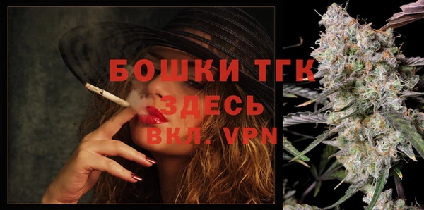 индика Медногорск