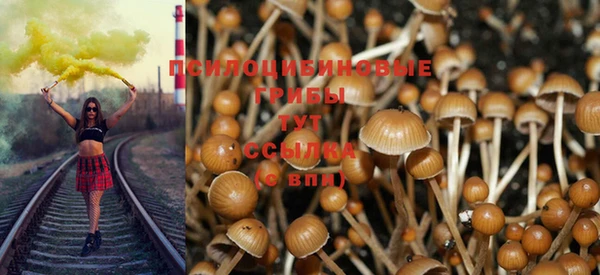 соль ск Михайловка