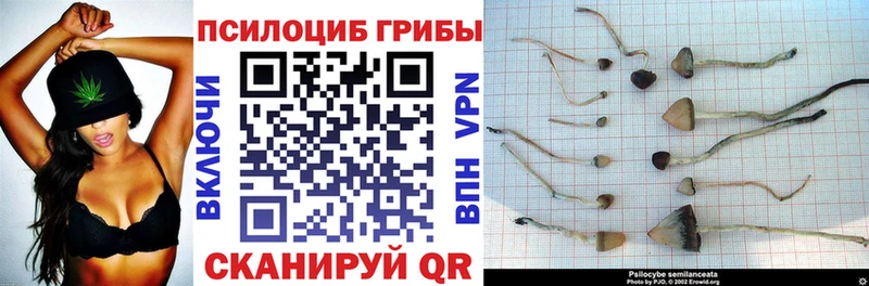 Галлюциногенные грибы MAGIC MUSHROOMS  Волгодонск 