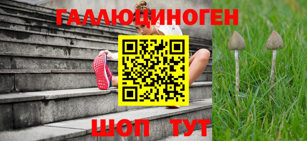 Псилоцибиновые грибы Psilocybe  Волгодонск 