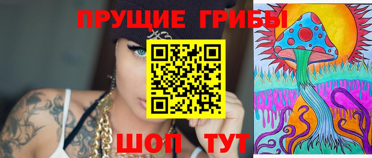 Псилоцибиновые грибы Psilocybine cubensis Волгодонск