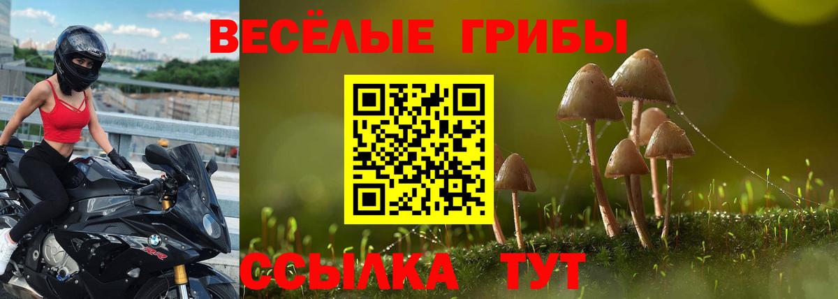 купить закладку  Галлюциногенные грибы мицелий  Вход с VPN  Волгодонск 